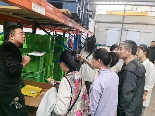 上海學(xué)生午餐蝦仁炒蛋引食品安全風(fēng)波，監(jiān)管部門介入調(diào)查